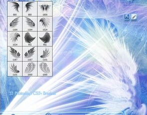 天使的翅膀笔刷__最新资源笔刷下载_PSCEO影楼素材网