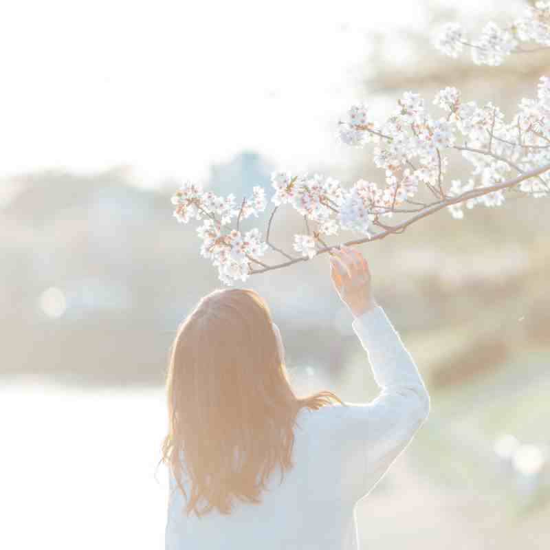 TakuyaOkada岡田拓也日系小清新INS人像LR预设PR/PS/AE/FCPX/LUT预设 <a href=http://www.psceo.com/lr target=_blank class=infotextkey>Lightroom</a>预设,效果图6